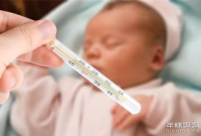 孩子因被蚊子咬生病? 多地现疫情或危及生命