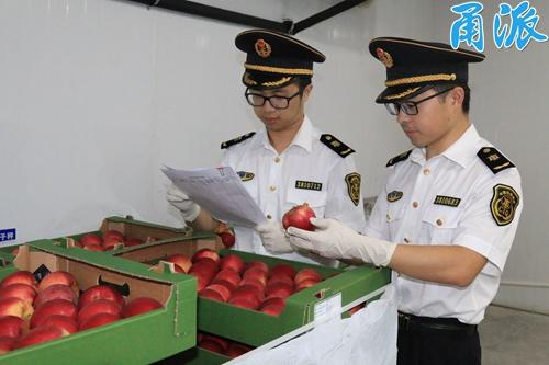 宁波首次进口波兰苹果 宁波人一年吃5万吨高端水果