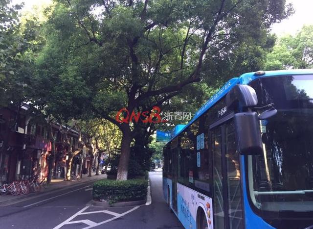 清晨杭州一大伯横穿马路被公交撞倒 头部受重创
