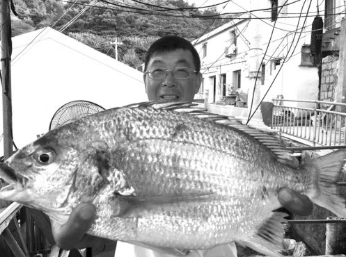男子在温州南麂岛钓到大鱼 3公斤重的黄鳍鲷