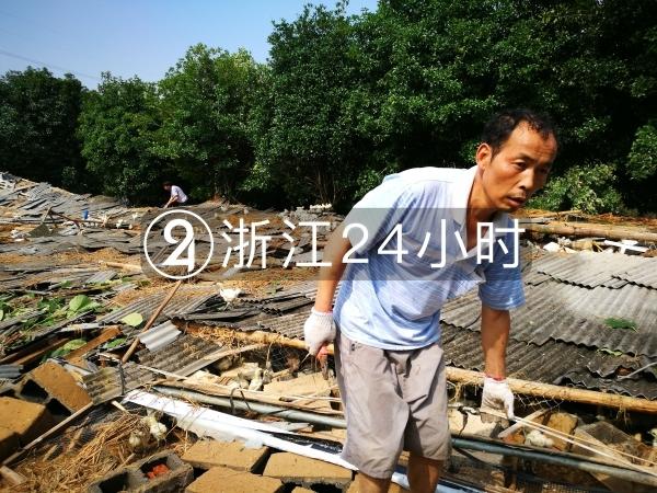 衢州龙卷风掀翻鸡舍 5人受伤2万多只鸡被压死