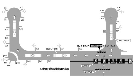 萧山机场航线示意图图片