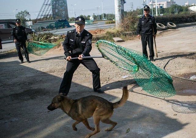 宁波城管为减肥练箭 一不小心练成世界冠军(图)