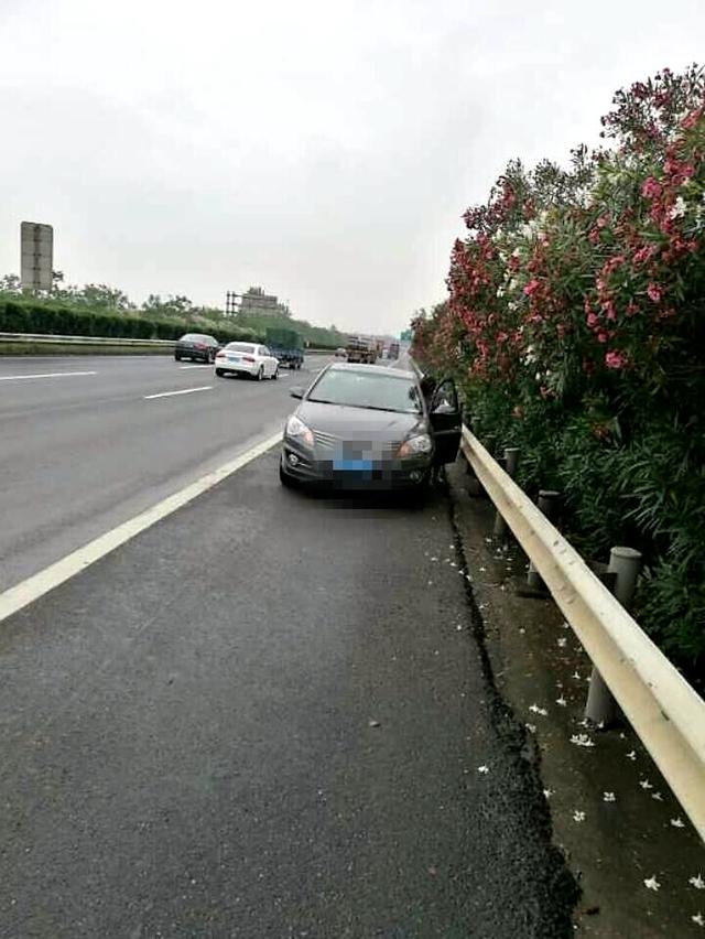 杭州一女司机高速上逆停 她说只想静静看人开车