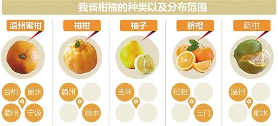 杭州人一天吃掉150吨柑橘