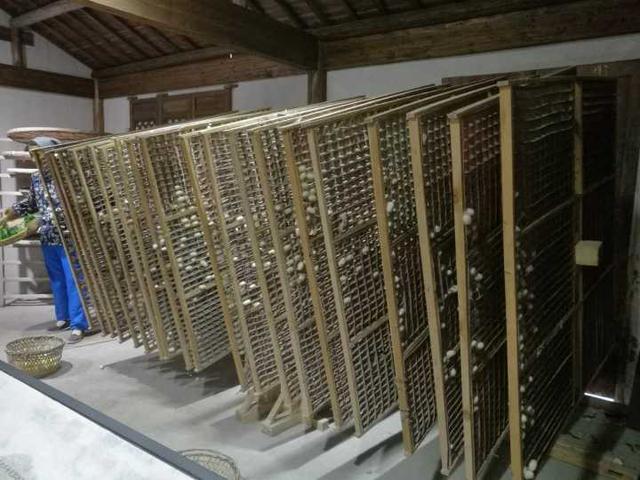 (图:用作五眠蚕上山结茧的方格簇)(图:龙泉茧站)●读散文知新安原淳安