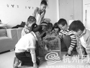 老师办公室里自己做棉花糖 奖励班里“小学霸”