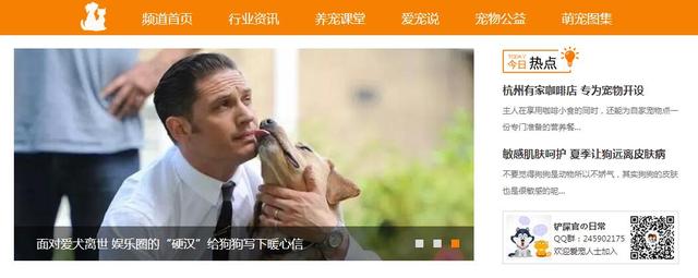 腾讯大浙网宠物频道上线了！