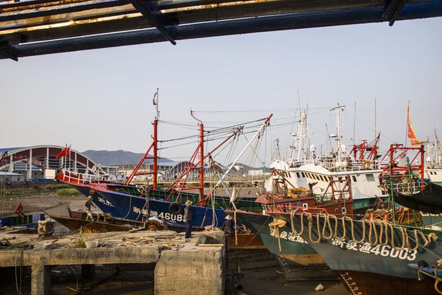 宁波两千多渔船1日开捕 三四日或能直供市场
