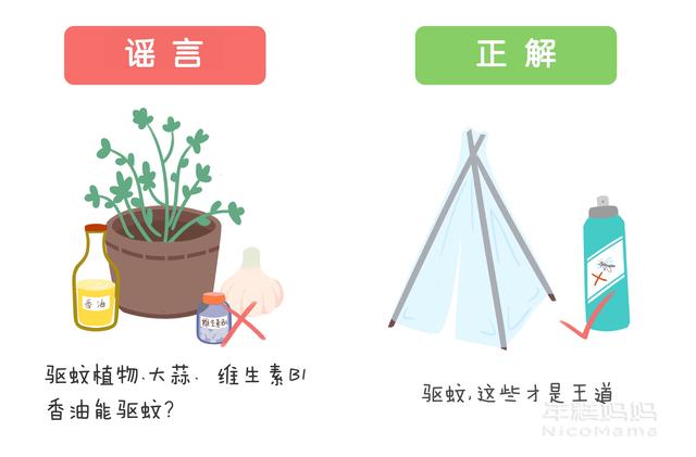 孩子因被蚊子咬生病? 多地现疫情或危及生命