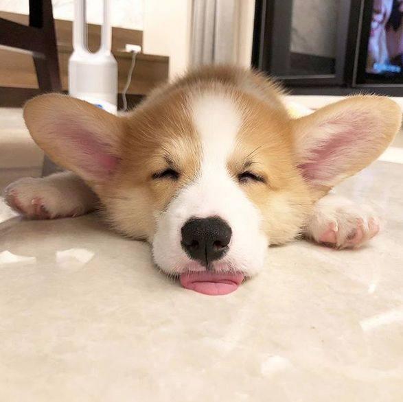 "舌头好累啊,让它歇一歇.