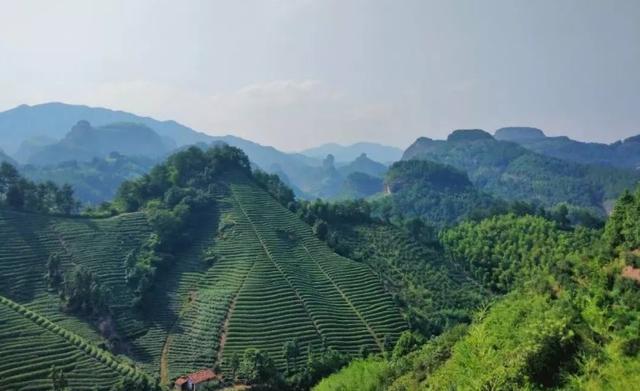 漫步于山外山,沐浴於晨光與落霞之間,不同於春天的漣漪,夏天的喧囂