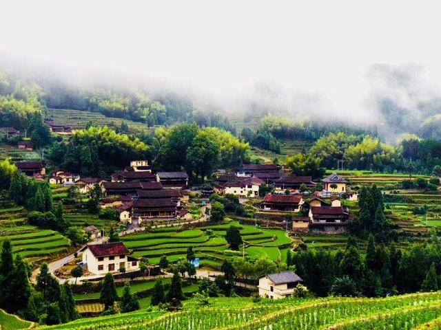 5公里,畲族人口1237人,是景宁畲族自治县畲族人口比例最高的乡.