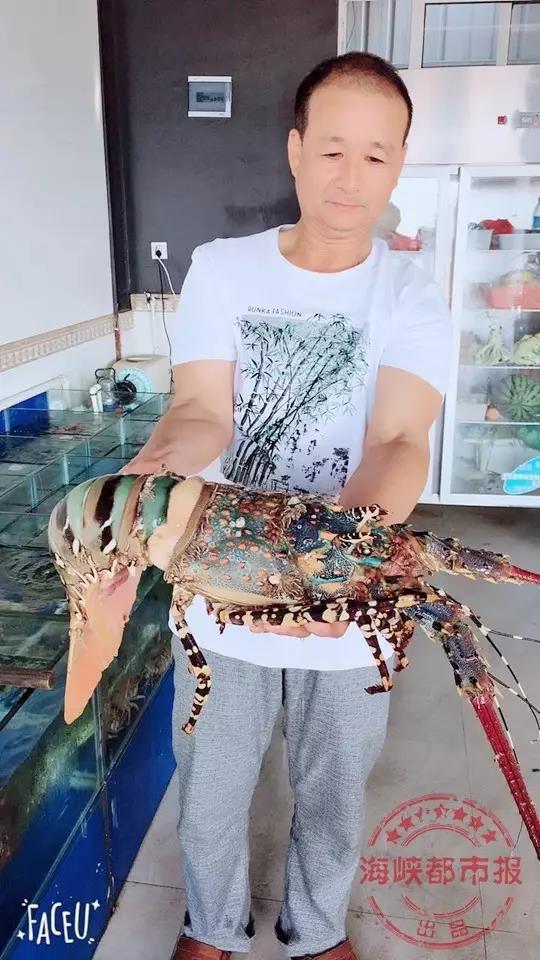 渔民在舟山海域捕获七彩"神虾" 据说能卖100万