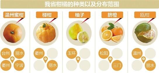 橘子真的有公母之分？ 什么长相的橘子更甜