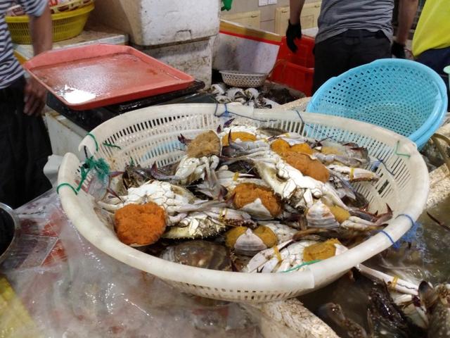 舟山市场现抱卵梭子蟹“踪迹” 数量还不少