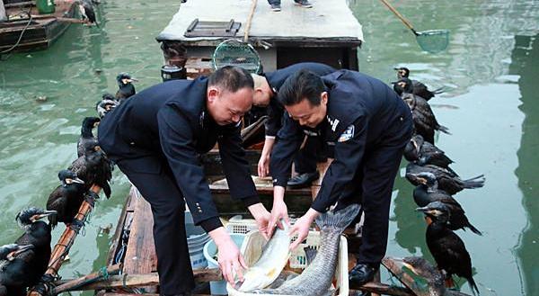 温州查获违禁渔获物32.1斤 这8种海产休渔期禁售