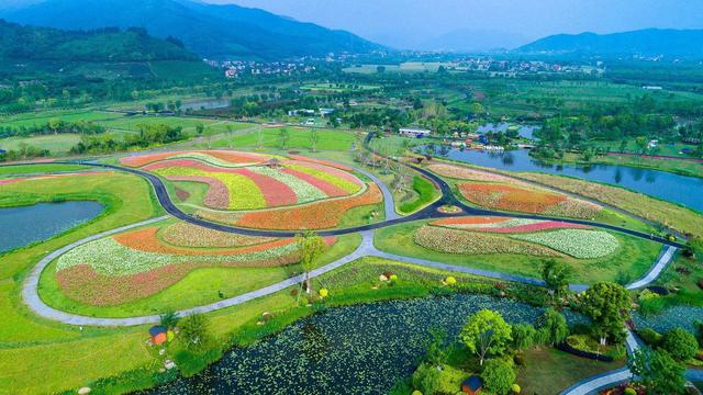 本次活動由杭州餘杭旅遊集團有限公司主辦,杭州芸徑農業發展有限公司