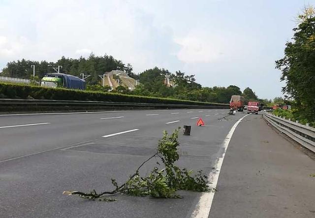 司机把树枝水桶放杭高速路上 当“警示牌”被罚