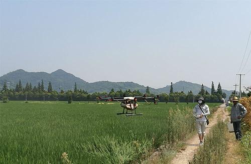 宁波农场主租无人机喷洒农药 一天喷400亩地