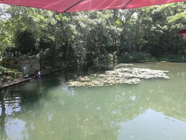 与家人发生口角 杭州一老太跳进2米深的池塘里