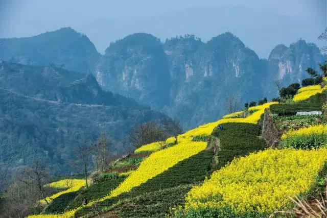 跟着"五星3a"游乡村丨下岩贝,后岱山,后金山