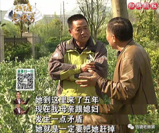 她把婆婆洗好的菜故意扔掉?却说自己受了苦